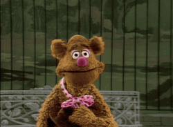 Fozzie Bear Funny Face Curtains GIF