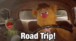 Fozzie Bear Kermit Frog Road Trip GIF