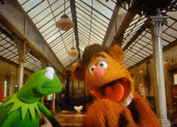 Fozzie Bear Kermit Snake Can GIF