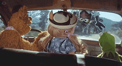 Fozzie Bear Miss Piggy Don't Understand GIF