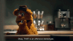Fozzie Bear Offensive Stereotype GIF