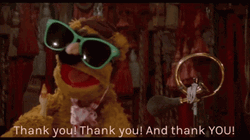 Fozzie Bear Thank You Shades GIF