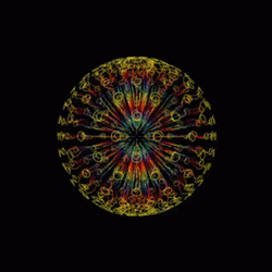 Fractal Flower Of Life Optical Illusions GIF