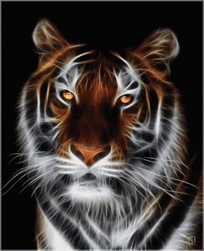 Fractal Tiger With S GIF