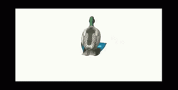 Frame Duck Spinning  GIF