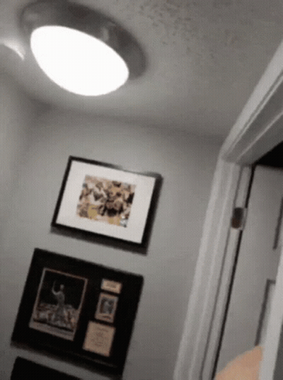 Framed Basketball Player Next To Door GIF