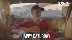 Fran Healy Caturday Happy Cat Meme GIF
