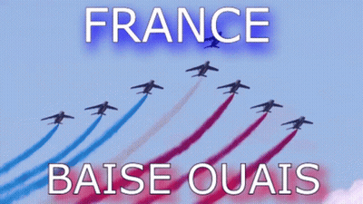 France Baise Ouais Poster Planes Flying In Formation GIF