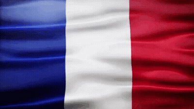 France Flag Gif GIF