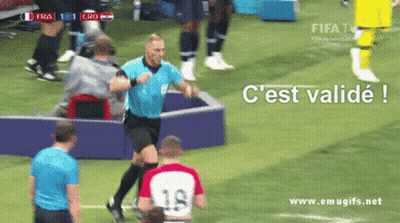 France Vs Croatia Soccer Match GIF