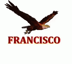 Francisco Flying Bird GIF