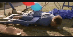 Frank The Tank Getting Injured GIF