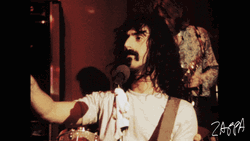 Frank Zappa Band Concert Applause GIF