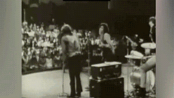 Frank Zappa Big TNT Show 1965 GIF