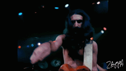 Frank Zappa Concert Rolling Reaction GIF