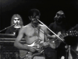 Frank Zappa Playing Guitar Concert GIF