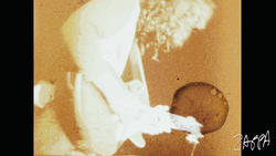 Frank Zappa Rock And Roll Band GIF