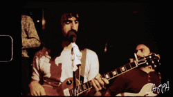 Frank Zappa The Mothers Of Invention GIF