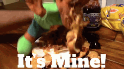 Frantic Hand Puppet It's Mine GIF