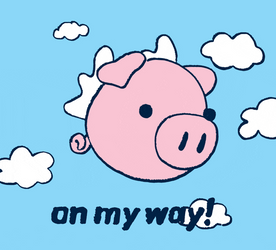 Frantic Pig Flies On My Way GIF