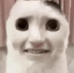 Freak Scared Meme GIF