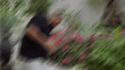 Freaky Friday DJ Khaled GIF