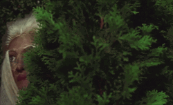 Freaky Masked Man Peeking GIF