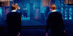 Fred Weasley Judging You GIF