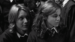 Fred Weasley Staring At Hermione GIF