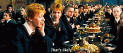Fred Weasley Thats Likely GIF