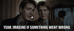 Fred Weasley Wed Be Scrawny GIF