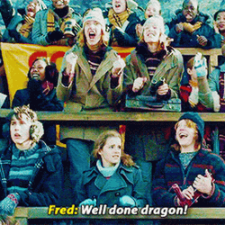 Fred Weasley Well Done Dragon GIF