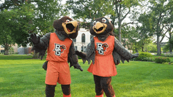 Freddie And Frieda The Falcon Dancing GIF