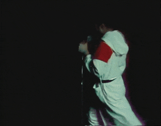 Freddie Freddie Mercury GIF