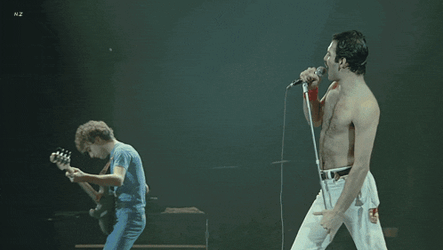 Freddie Mercury John Deacon GIF