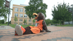 Freddie The Falcon Chilling GIF