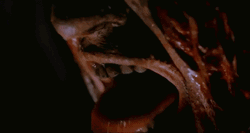 Freddy Krueger Wake From Nightmare GIF