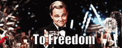 Free At Last To Freedom Leonardo DiCaprio GIF