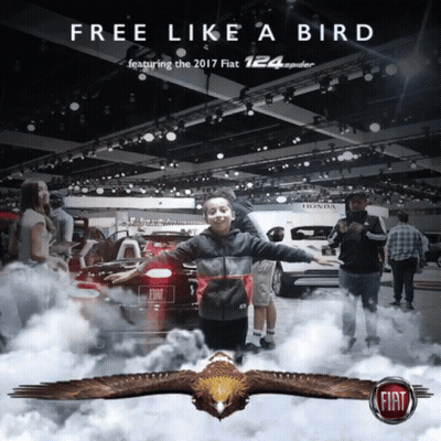Free Like A Bird Fiat 124 Spider Poster GIF