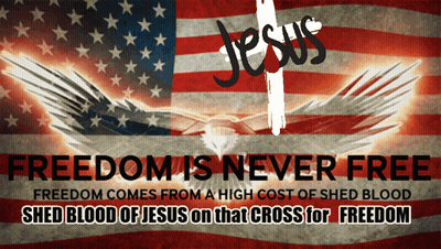 Freedom Is Never Free Poster American Flag GIF