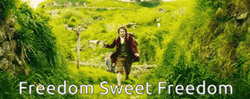 Freedom Sweet Freedom Ron Weasley GIF