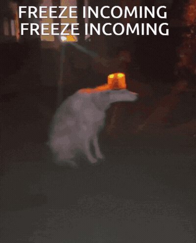 Freeze Incoming GIF