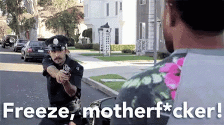 Freeze This Is Police GIF
