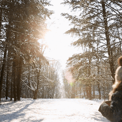 Freezing Winter Solstice Dog Running GIF