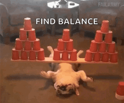 French Bulldog Find Balance Stacks GIF