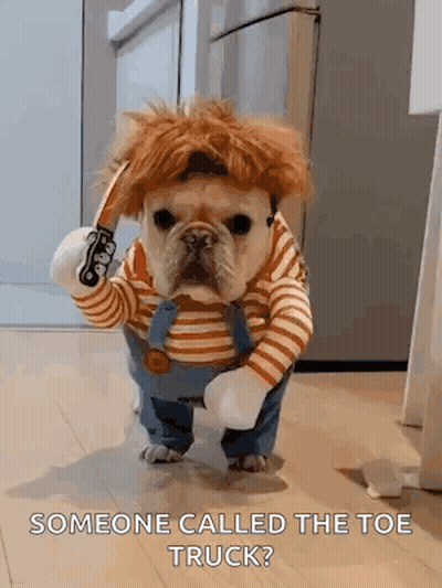 French Bulldog In Costume Holding Knife GIF