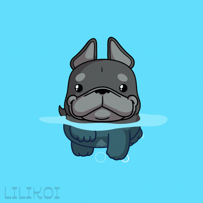 French Bulldog In Water With Lilikoi GIF