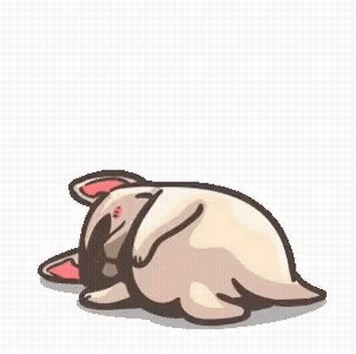 French Bulldog Standing on Hind Legs