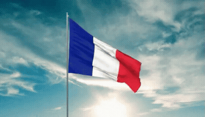 French Flag Waving Against Blue Sky GIF