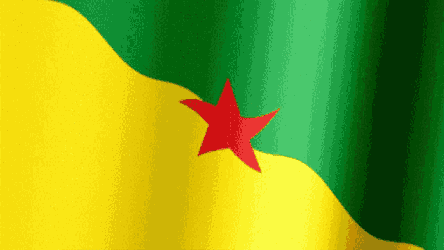 French Guiana Flag Gif GIF